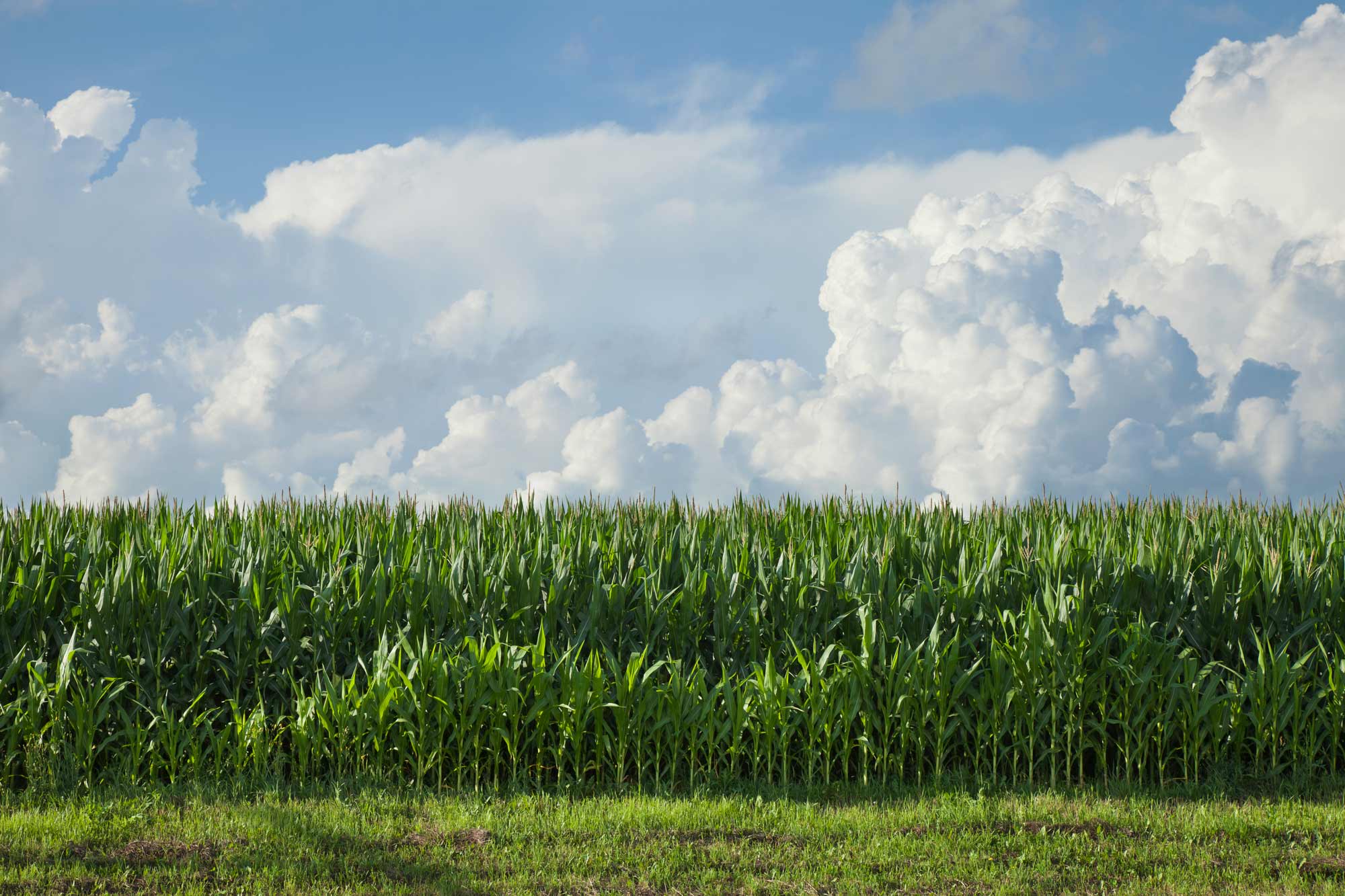 Meadowbrook Farm – East Longmeadow, MA