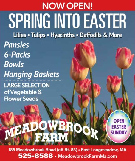 Spring-Into-Easter-Meadowbrook-Farm