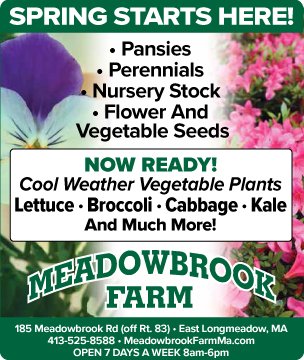 meadowbrook-farms-pansies-perennials-nursery-stock-flower-and-vegetable-seeds-for-sale